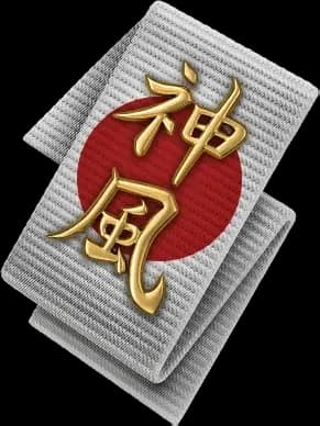 Камикадзе